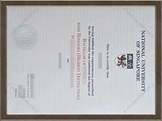 新加坡国立大学文凭NUS degreeNational University of Singapore degree1