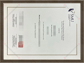 新加坡管理大学文凭SMU degreeSingapore Management University degree1