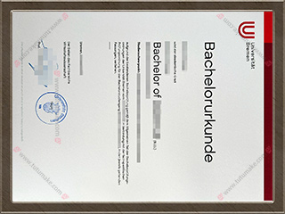 不来梅大学文凭Universitat Bremen degree1