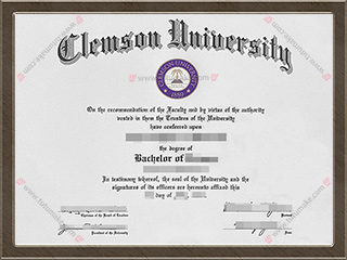 克莱门森大学文凭Clemson University degree1