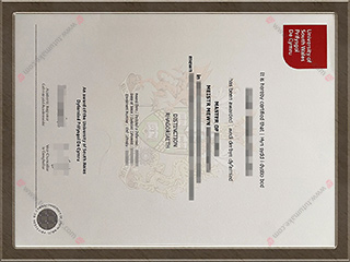 南威尔士大学文凭USW degreeThe University of South Wales degree1