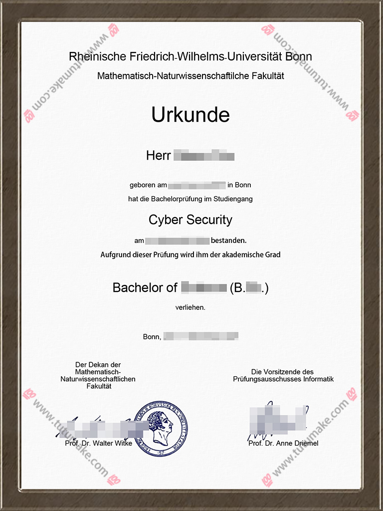 波恩大学数字与自然科学学院文凭University of Bonn Mathematisch Naturwissenschaftlichen fakultat degree