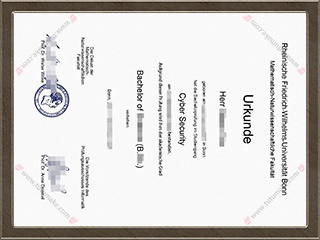 波恩大学数字与自然科学学院文凭University of Bonn Mathematisch Naturwissenschaftlichen fakultat degree1