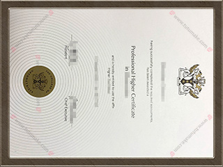 验光师学院文凭College of Optometrists degree1