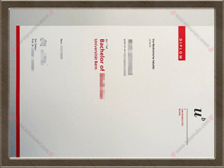 伯尔尼大学文凭Universitat Bern gradUniversity of Bern degreeUniBe degree1