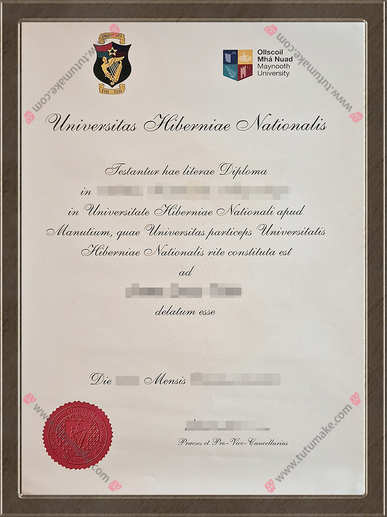 梅努斯大学文凭Maynooth University degreeNUI Maynooth degree