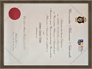 梅努斯大学文凭Maynooth University degreeNUI Maynooth degree1
