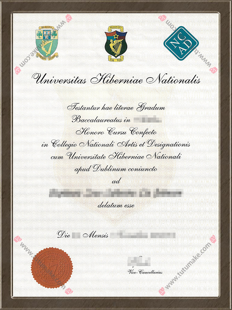 爱尔兰国立艺术设计学院文凭NCAD degreeNational College of Art and Design degree