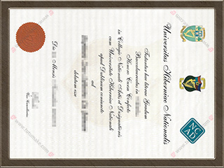 爱尔兰国立艺术设计学院文凭NCAD degreeNational College of Art and Design degree1