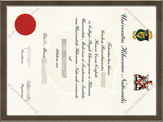 爱尔兰皇家外科医学院文凭RCSI degreeRoyal College of Surgeons in Ireland degree1
